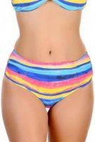 Blue Coast Bikini tailleslip